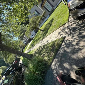 lawn care by Lawn Impression reviewed on March 26, 2024