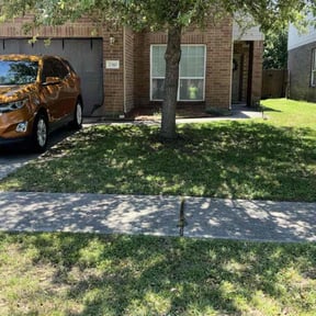 yard maintenance by Bigdogs Property Maintenance reviewed on August 19, 2025
