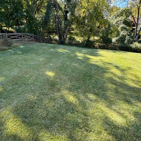 turf maintenance by B&R Canelo Landscape reviewed on May 4, 2024