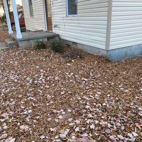 Bush Trimming by Any Season Lawn Care reviewed on August 18, 2025