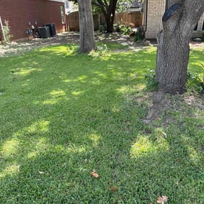yard care by Brother's Irrigation and Landscaping reviewed on August 18, 2025
