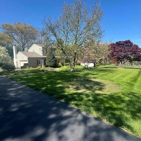yard work by Jose Landscaping reviewed on August 19, 2025