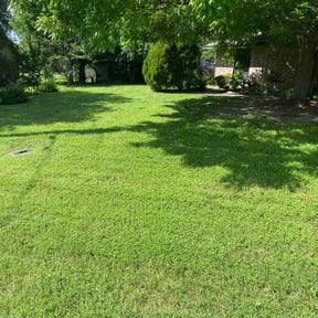 yard care by Concrete woods reviewed on August 17, 2025