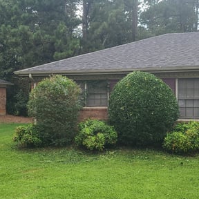 Bush Trimming by Ultimate Landscape Contractor reviewed on August 17, 2025