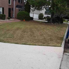 Leaf Removal by Special Touch Maintenance reviewed on September 21, 2025