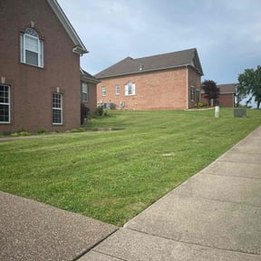 grass cutting by Luke's Lawncare reviewed on July 22, 2025