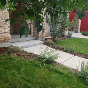 Bush Trimming by 4 You Landscaping LLC reviewed on August 17, 2025