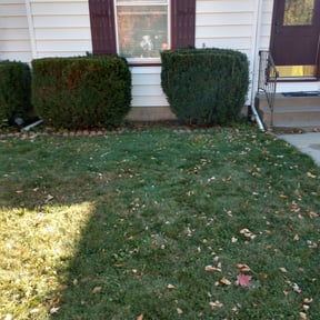 Flower Bed Weeding by Homegrown N Cut reviewed on March 1, 2025