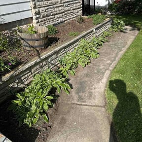 Flower Bed Weeding by Mahoney‘s lawn care services reviewed on April 24, 2026
