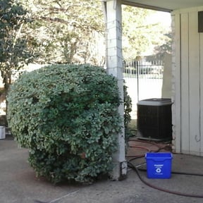 Bush Trimming by AR Lawn Care. reviewed on August 16, 2025