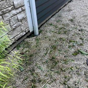 Flower Bed Weeding by Supreme Home Services reviewed on September 3, 2026