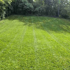 landscape maintenance by GC Lawn Care & Landscaping Services reviewed on August 18, 2025