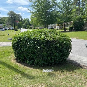 Bush Trimming by Top's Mowing Service reviewed on August 15, 2025
