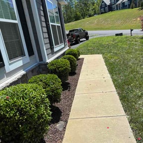 Bush Trimming by Perfectionist Landscape reviewed on May 29, 2026