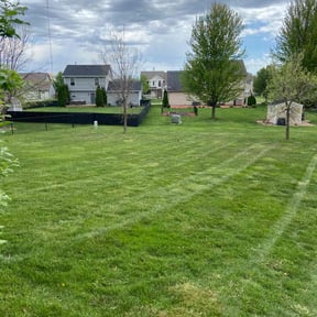 lawn service by Muirwoods Lawn care reviewed on May 4, 2024