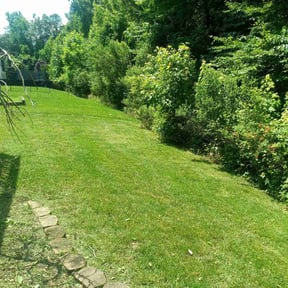 landscaping by Cooper’s Lawn & Landscape LLC reviewed on August 16, 2025