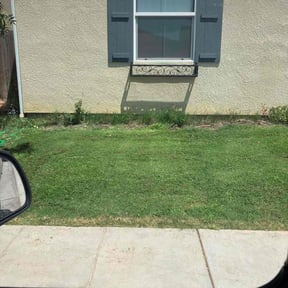 grass maintenance by Imperial Lawn Care reviewed on October 9, 2023