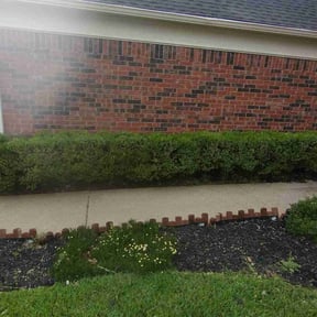 Bush Trimming by Gdt lawncare reviewed on October 18, 2025