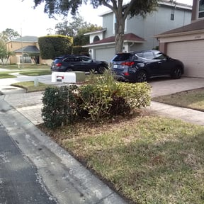 Bush Trimming by All Trim Lawn Services, Inc. reviewed on August 16, 2025