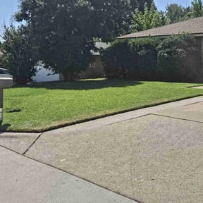 yard care by Straightlines LLC reviewed on August 15, 2025