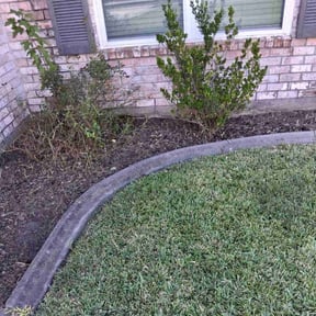 Flower Bed Weeding by Flipmodedreadhead reviewed on November 10, 2025