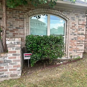 Bush Trimming by Sifu Lawn and Services  reviewed on May 3, 2024