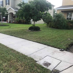 lawn care services by DMD LAWN SVC reviewed on November 1, 2023