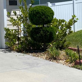 Bush Trimming by JMN Lawn reviewed on August 19, 2025