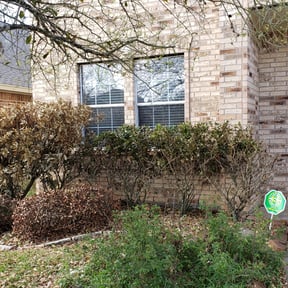 Bush Trimming by Carolina Lawn Care reviewed on August 18, 2025