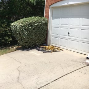Bush Trimming by A-1 Lawn and Lawnscapes reviewed on August 17, 2025