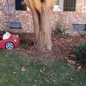 Flower Bed Weeding by Perez Landscaping inc reviewed on June 8, 2026