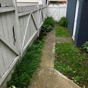Flower Bed Weeding by Waters Landscaping reviewed on August 18, 2025
