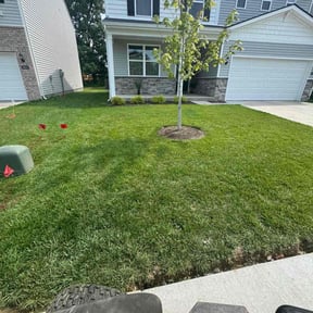 landscaping services by David W Services LLC reviewed on August 19, 2025