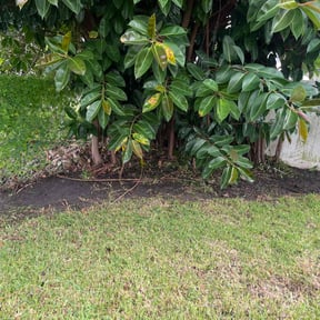 Leaf Removal by Dallas Enterprise LLC Lawn Care Services reviewed on September 25, 2025