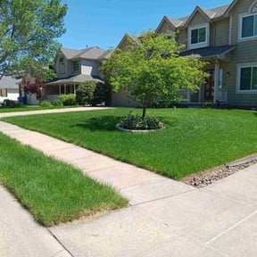 yard maintenance by Simple Solution Home Services reviewed on November 8, 2023