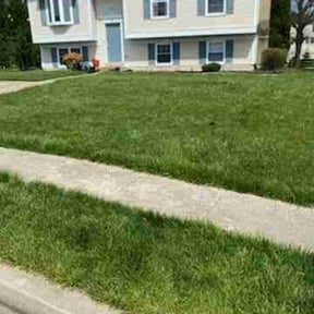 grass maintenance by Hampton's Landscaping LLC reviewed on May 8, 2024
