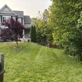 landscaping by Better Dash Group LLC reviewed on June 13, 2025