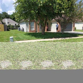 landscaping by Big Chief Lawn Care reviewed on November 25, 2025