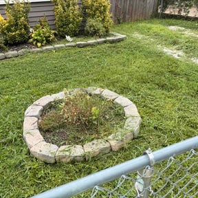Flower Bed Weeding by Chibule’s Snow Services reviewed on July 17, 2026