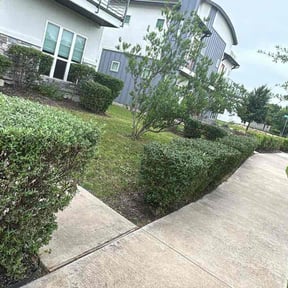 Bush Trimming by pinkrosesontheroadtrucking reviewed on May 2, 2026