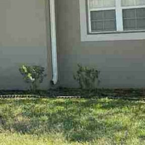Flower Bed Weeding by EDGE CUT LAWN CARE reviewed on August 18, 2025