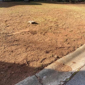 Leaf Removal by All in One Complete Home Solutions reviewed on August 15, 2025