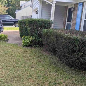 Bush Trimming by Elijahs lawn care reviewed on November 19, 2025