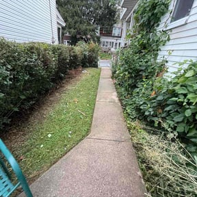 Bush Trimming by K V Lawncare reviewed on October 20, 2025