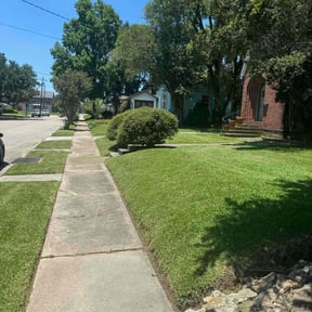 landscaping by Flowers Transportation &amp; Maintenance LLC reviewed on November 22, 2025