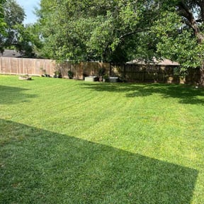 yard care by Green Looks reviewed on November 19, 2025