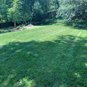 residential landscaping by Willie Lawn Care and More LLC reviewed on August 17, 2025