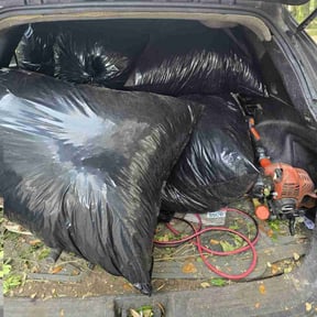 Leaf Removal by Texas Services SA reviewed on August 15, 2025