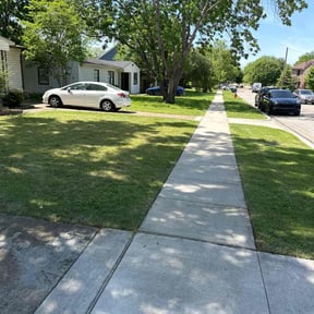 turf maintenance by Green lawn&#039;s reviewed on August 19, 2025