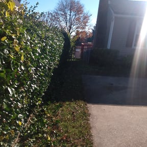 Bush Trimming by Stars & Stripes Lawn Care reviewed on August 21, 2025